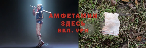 стаф Белокуриха